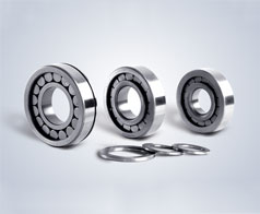 圓柱滾(gun)子軸承--鷹牌軸(zhou)承